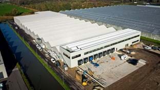 Flower Direct - Fase 3 - 930 m²