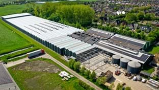 Mirial Tulips - 436 m²